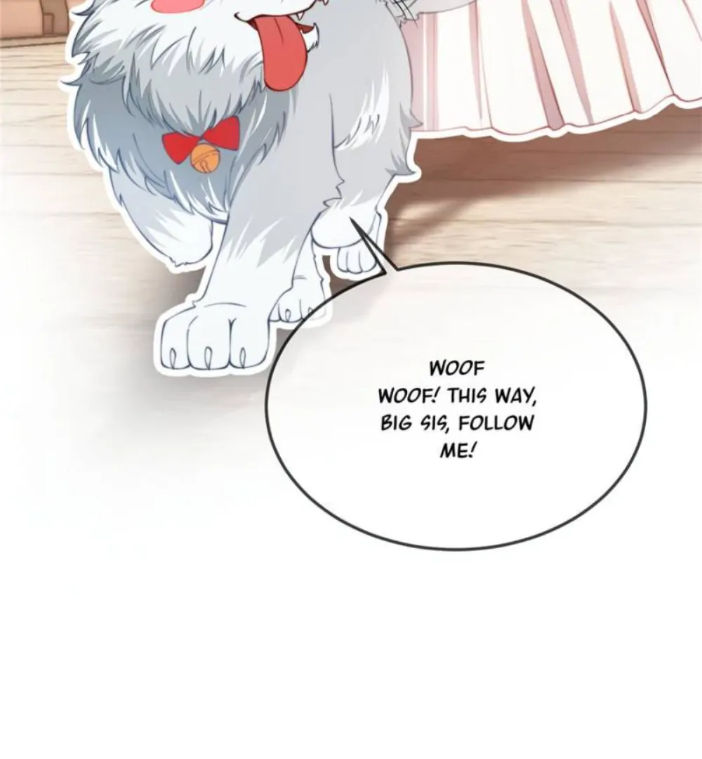 The Secret Game of Nobles Chapter 17 248 07