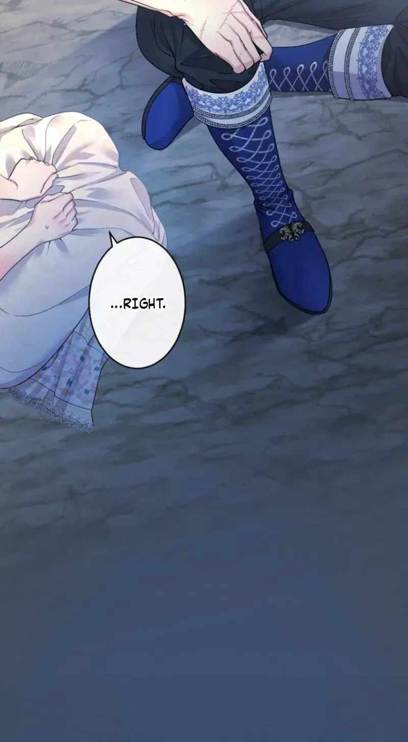 aaf4d4d58cf1