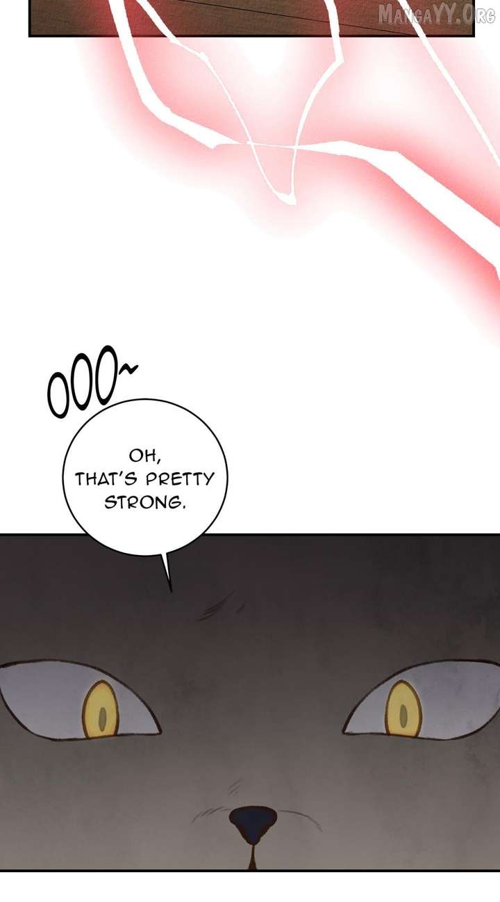 Alissa and the Magic Diary Chapter 33 355 81