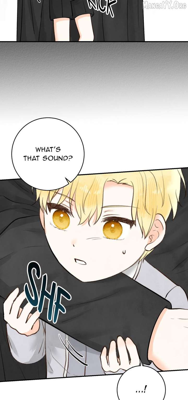 ch 43 77