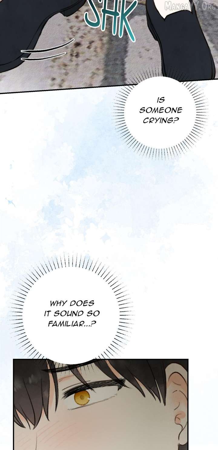 ch 49 80