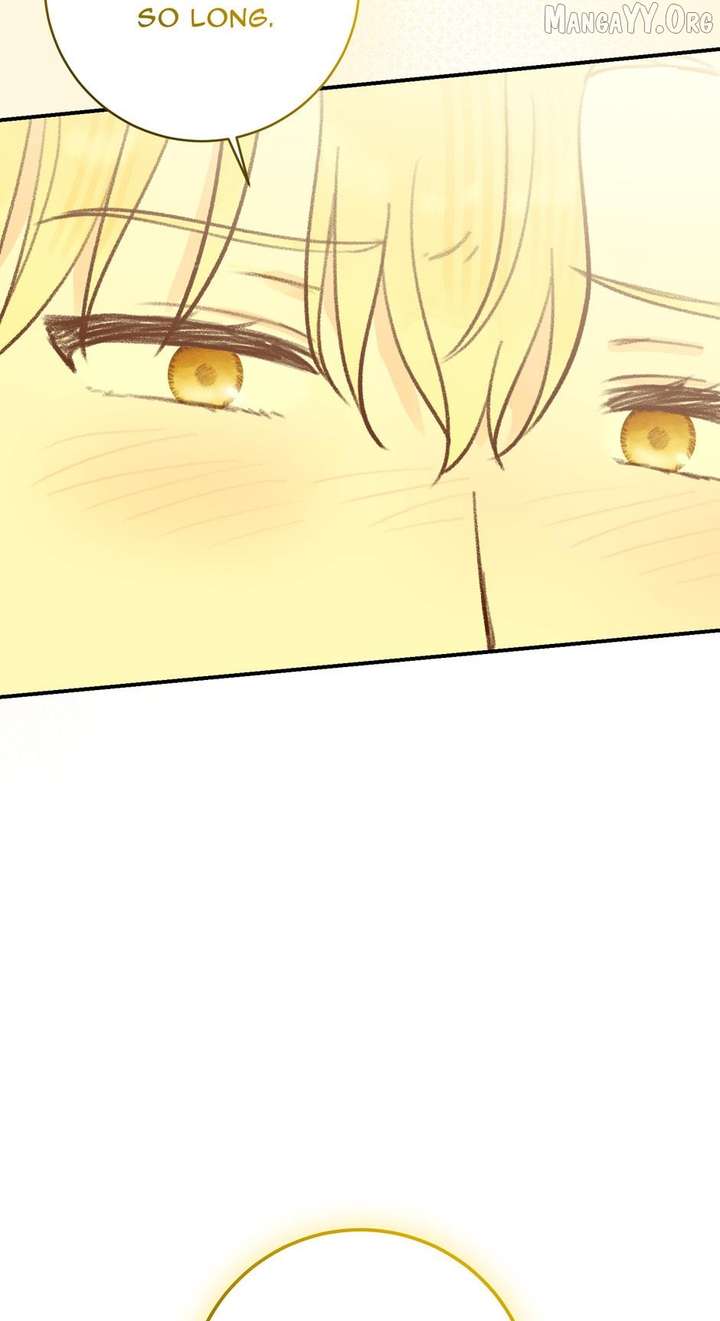 ch 50 95