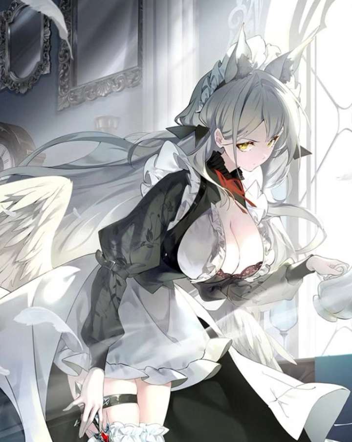 ch 88 18