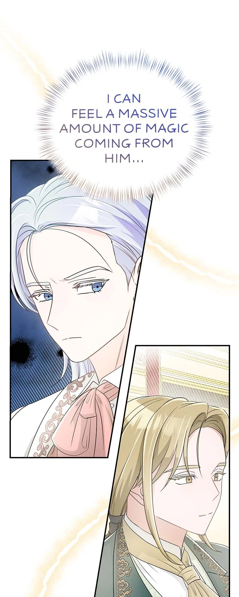 The Maid’s Secret Tea Recipe for the Prince Chapter 41 246 08