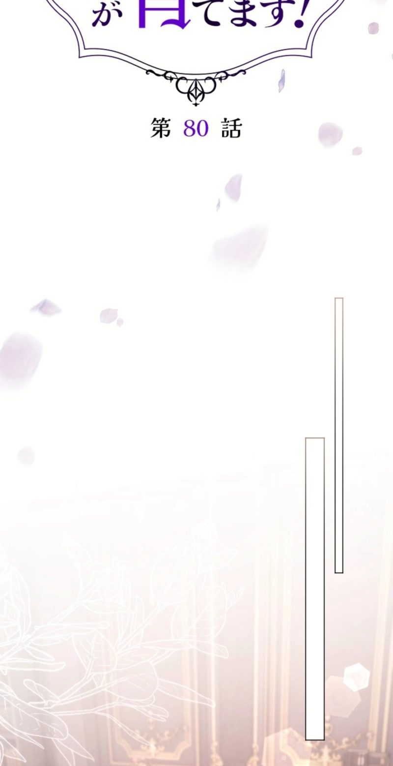 91a83c8116e2