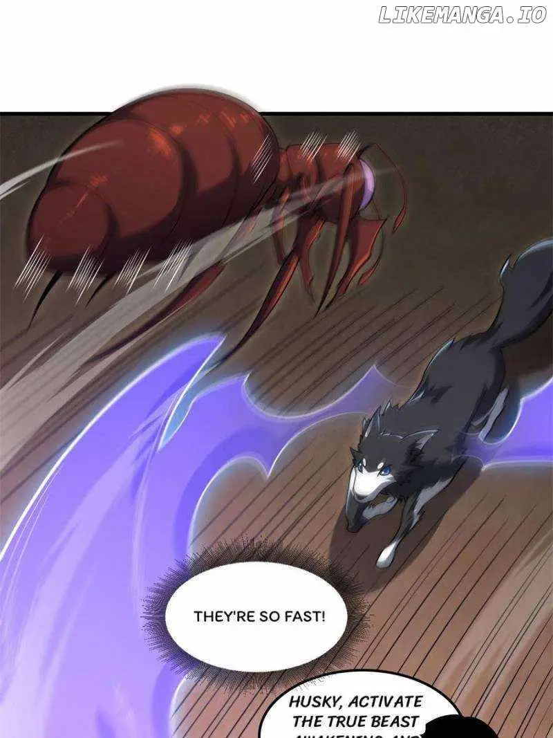 c53e8b85c284