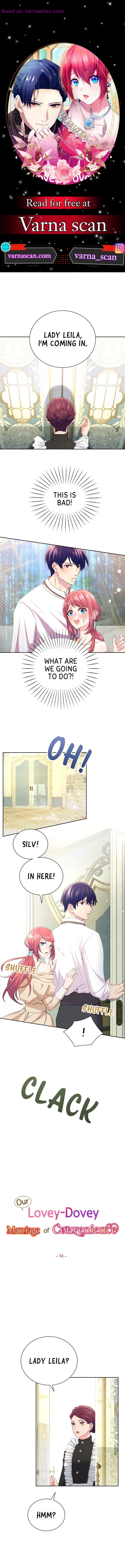 Our Lovey-Dovey Marriage of Convenience Chapter 14 41 01