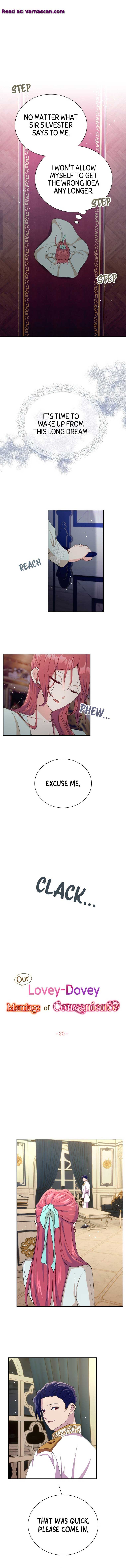 Our Lovey-Dovey Marriage of Convenience Chapter 20 46 2