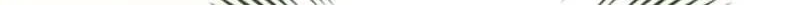 f9142b16a1c1