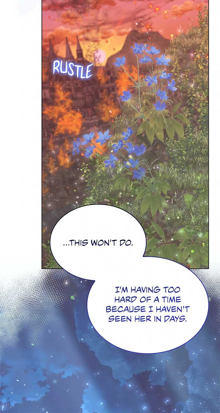 036