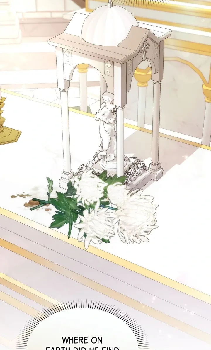 Don’t pick up the trash you threw away Chapter 95 347 053 result