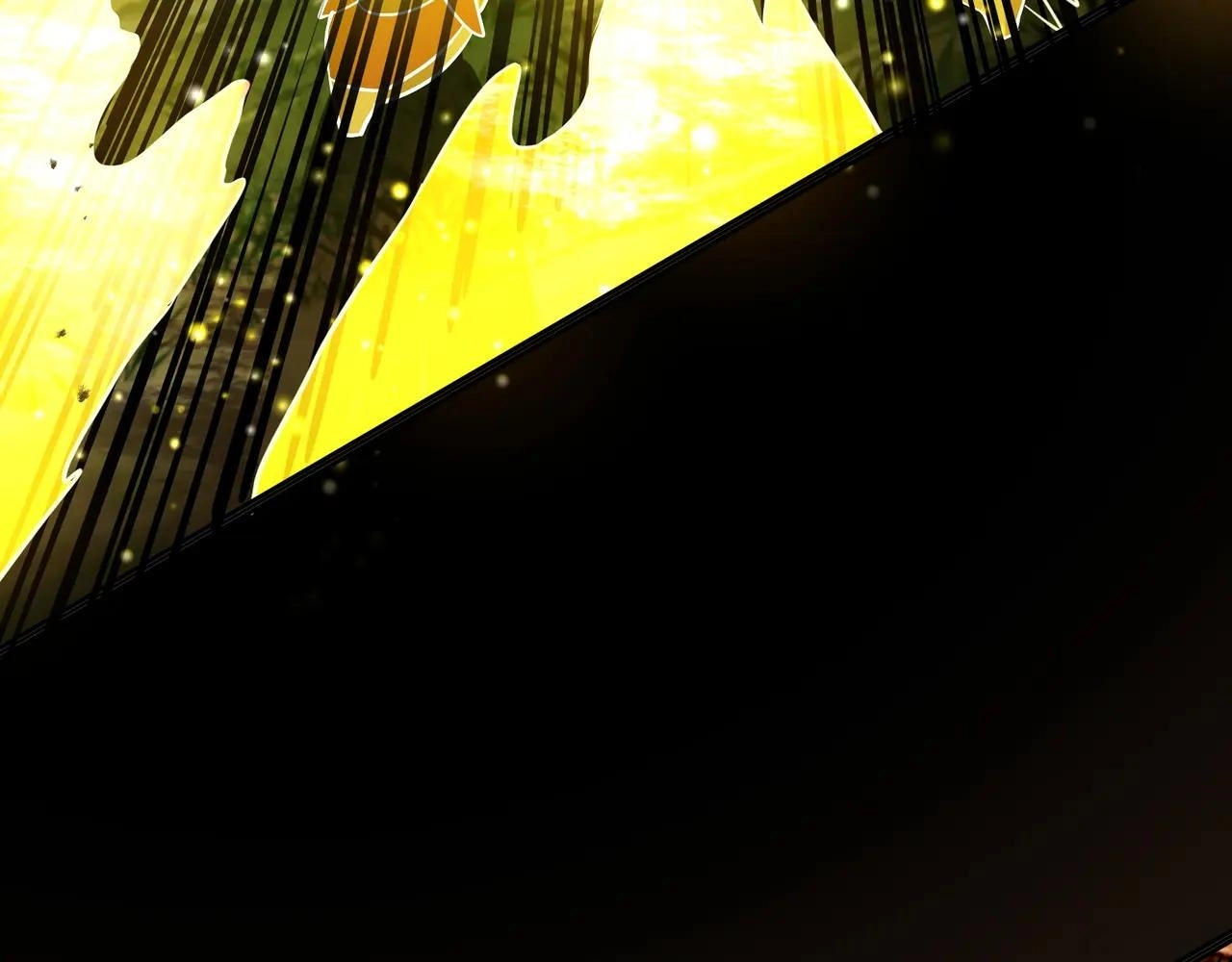8fd6526f19a5