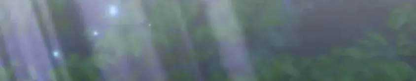 2c8e26543a01