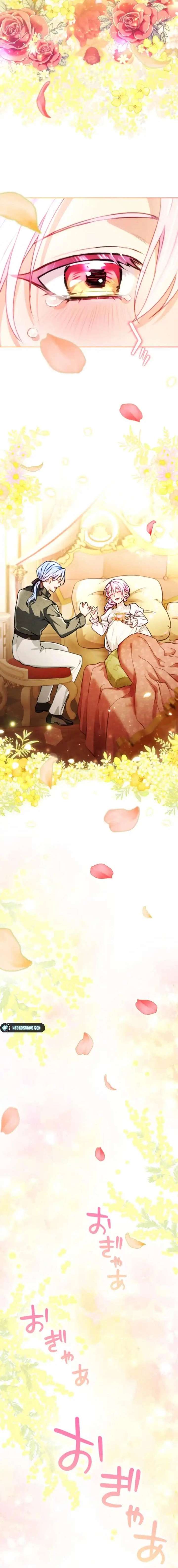 ch 97 16