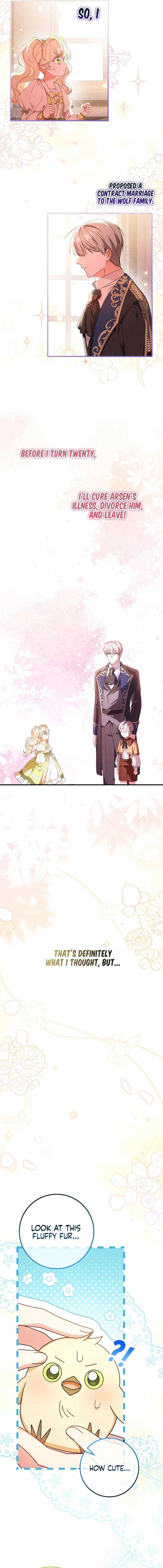 The Beloved New Daughter-in-law Of The Wolf Mansion Chapter 0 28 3