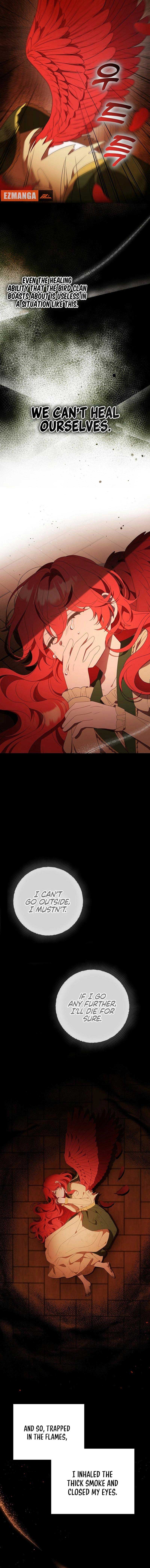 The Beloved New Daughter-in-law Of The Wolf Mansion Chapter 1 64 12