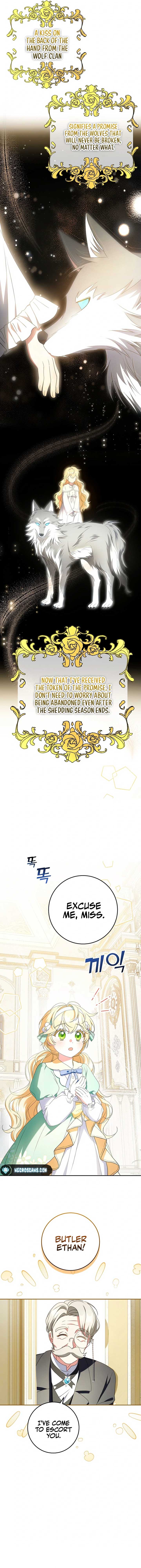 The Beloved New Daughter-in-law Of The Wolf Mansion Chapter 10 67 09