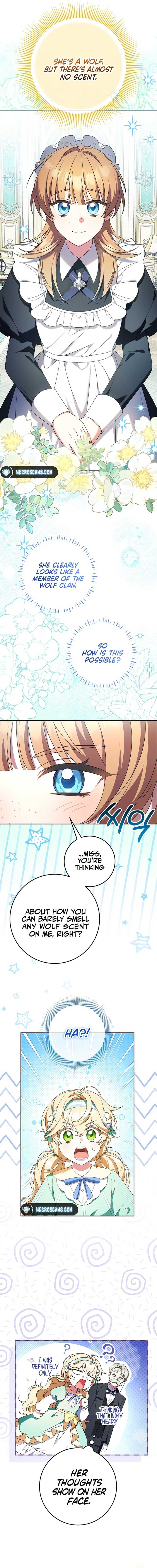 The Beloved New Daughter-in-law Of The Wolf Mansion Chapter 10 70 12
