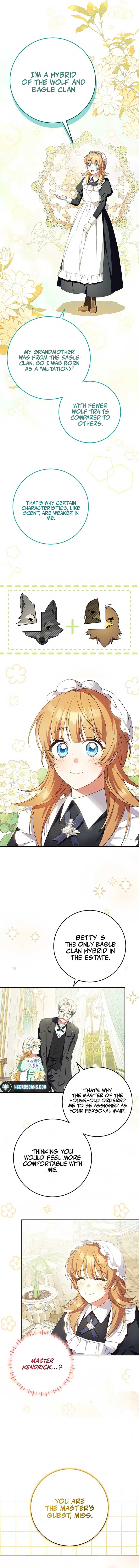The Beloved New Daughter-in-law Of The Wolf Mansion Chapter 10 71 13