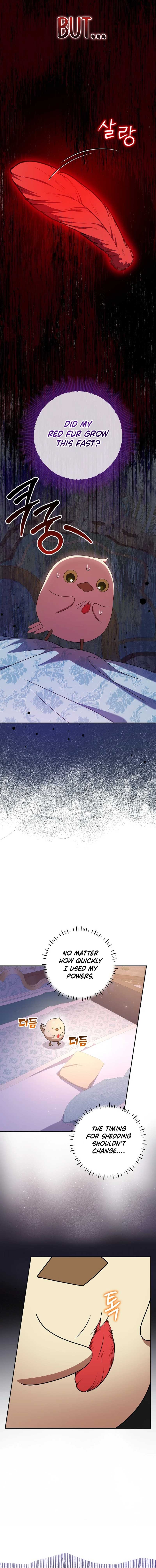 The Beloved New Daughter-in-law Of The Wolf Mansion Chapter 14 69 11