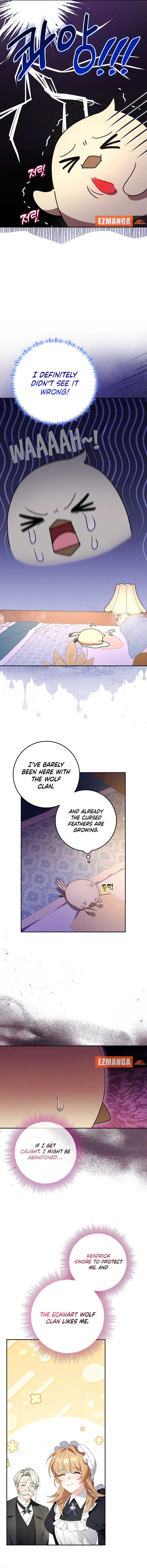 The Beloved New Daughter-in-law Of The Wolf Mansion Chapter 14 70 12