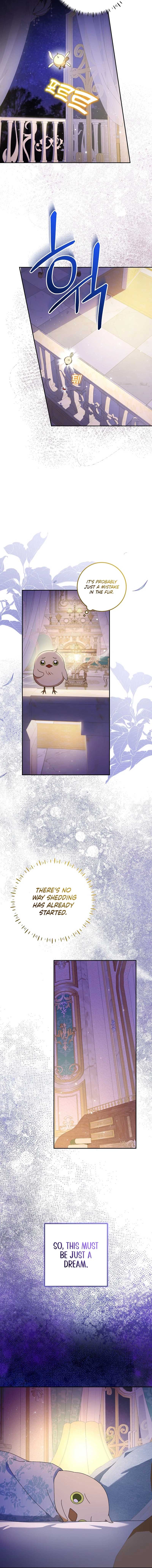 The Beloved New Daughter-in-law Of The Wolf Mansion Chapter 14 73 15