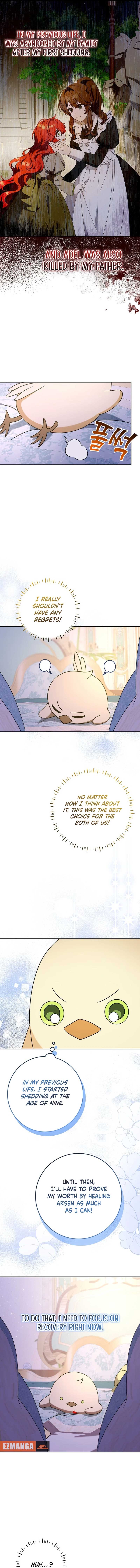 The Beloved New Daughter-in-law Of The Wolf Mansion Chapter 14 67 9