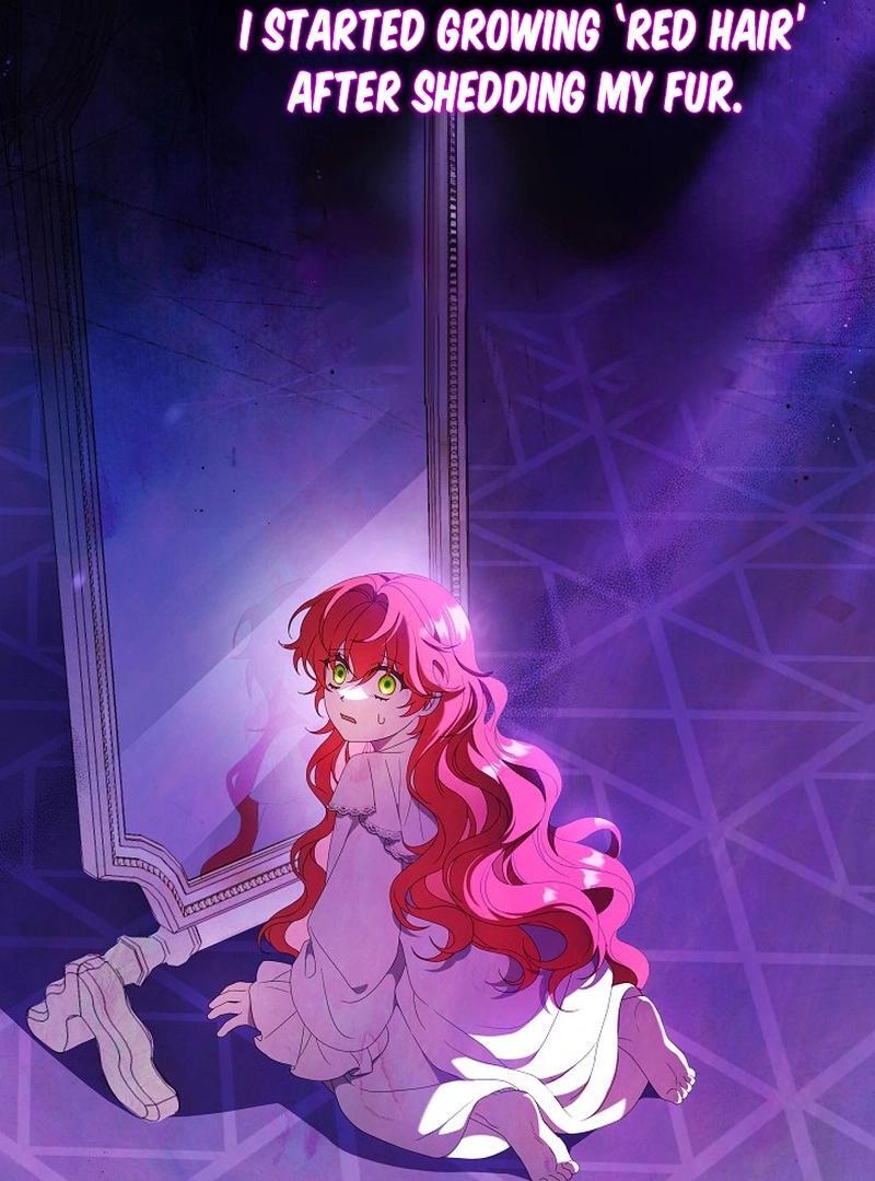 The Beloved New Daughter-in-law Of The Wolf Mansion Chapter 2 515 094