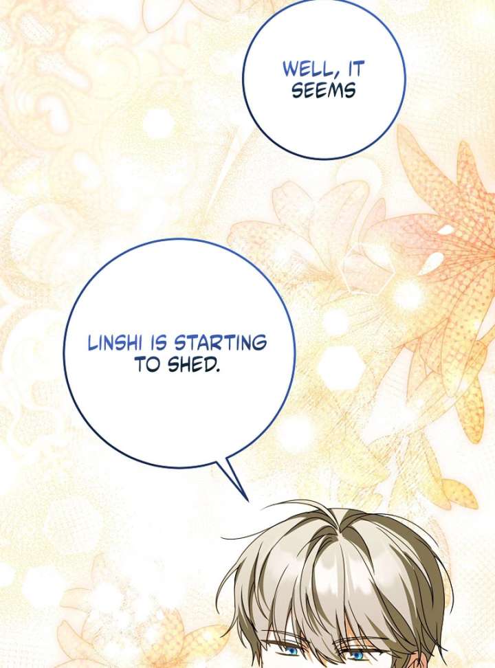 The Beloved New Daughter-in-law Of The Wolf Mansion Chapter 55 379 033