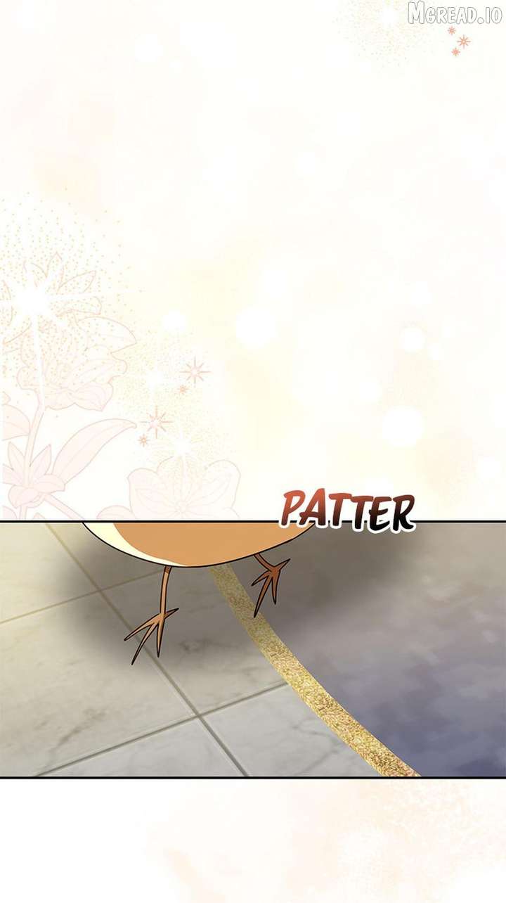 ch 62 33