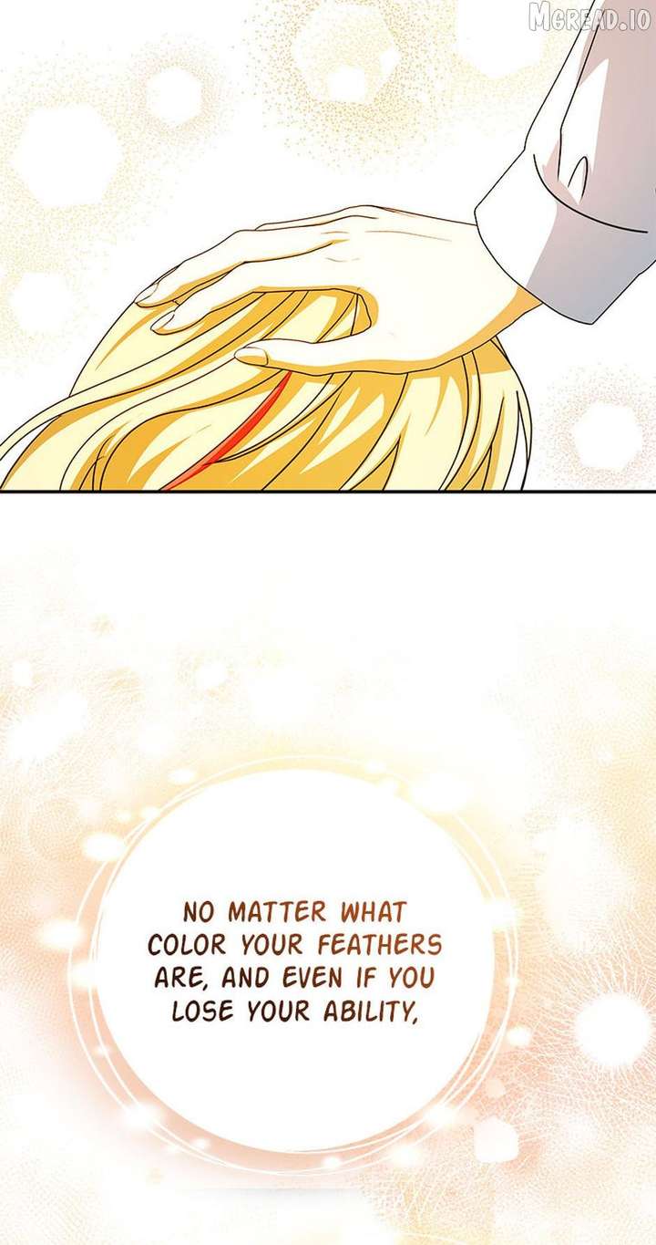 ch 62 80