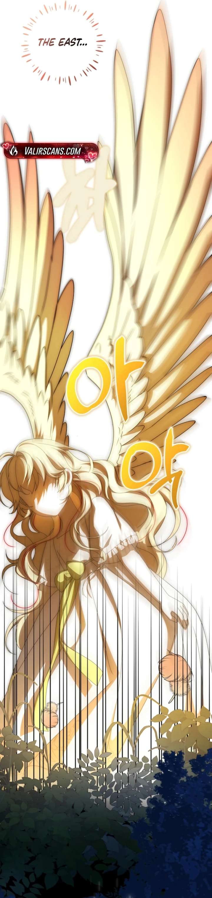 ch 65 36