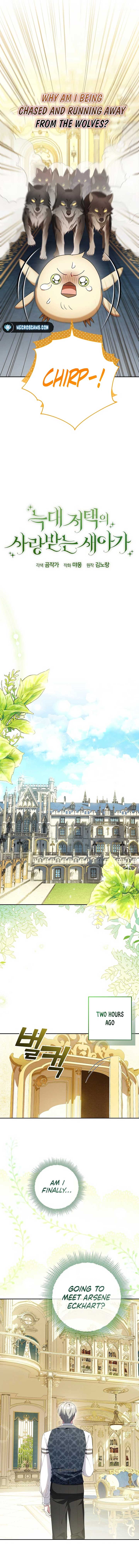 The Beloved New Daughter-in-law Of The Wolf Mansion Chapter 8 51 02