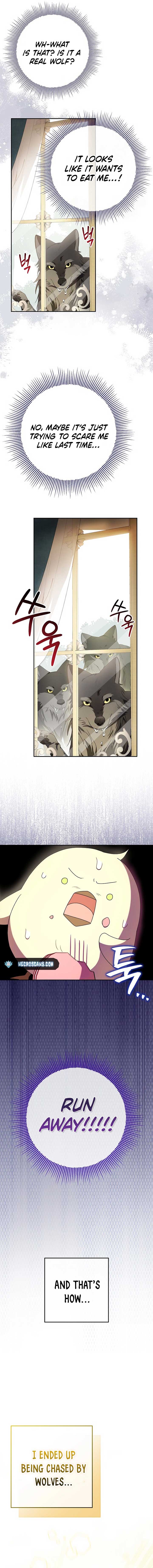 The Beloved New Daughter-in-law Of The Wolf Mansion Chapter 8 58 09