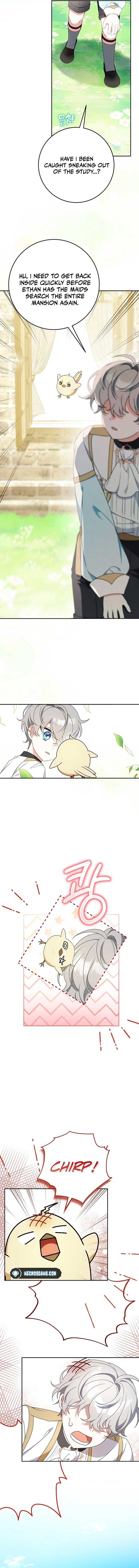 The Beloved New Daughter-in-law Of The Wolf Mansion Chapter 8 61 12