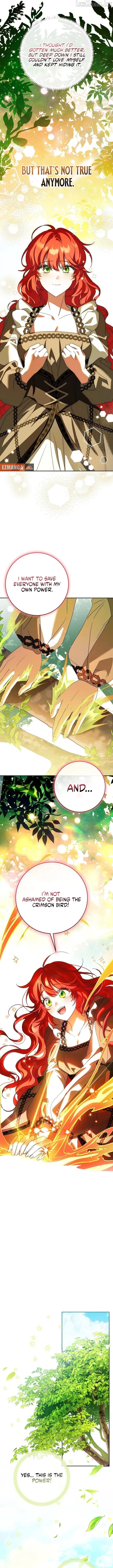 The Beloved New Daughter-in-law Of The Wolf Mansion Chapter 81 64 13 result