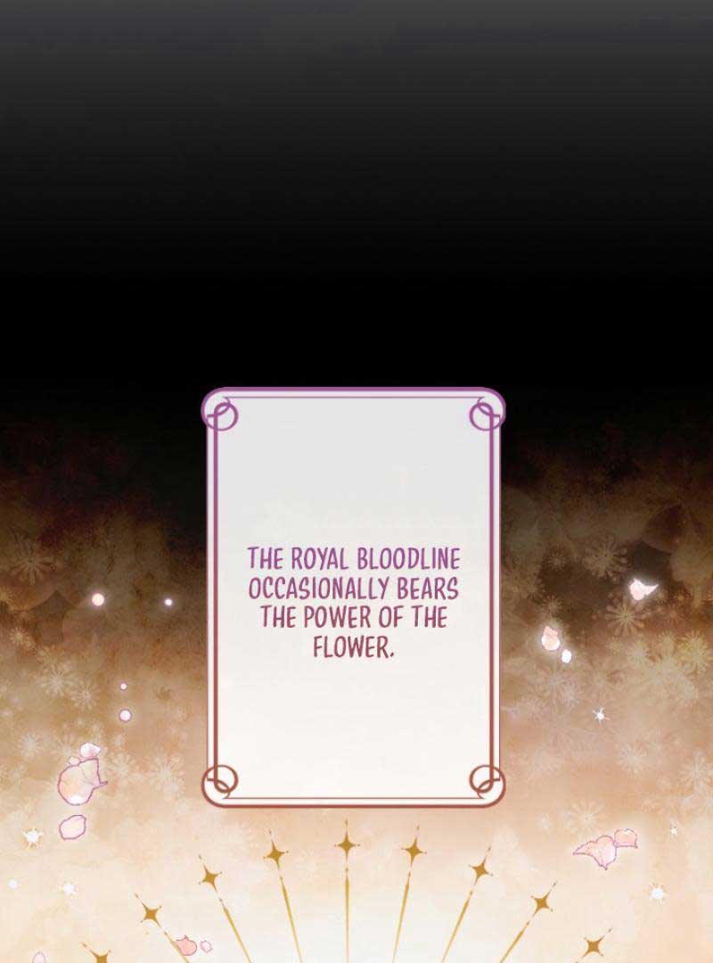 The Reason why Princess White Rose Wears Thorns Chapter 1 384 041