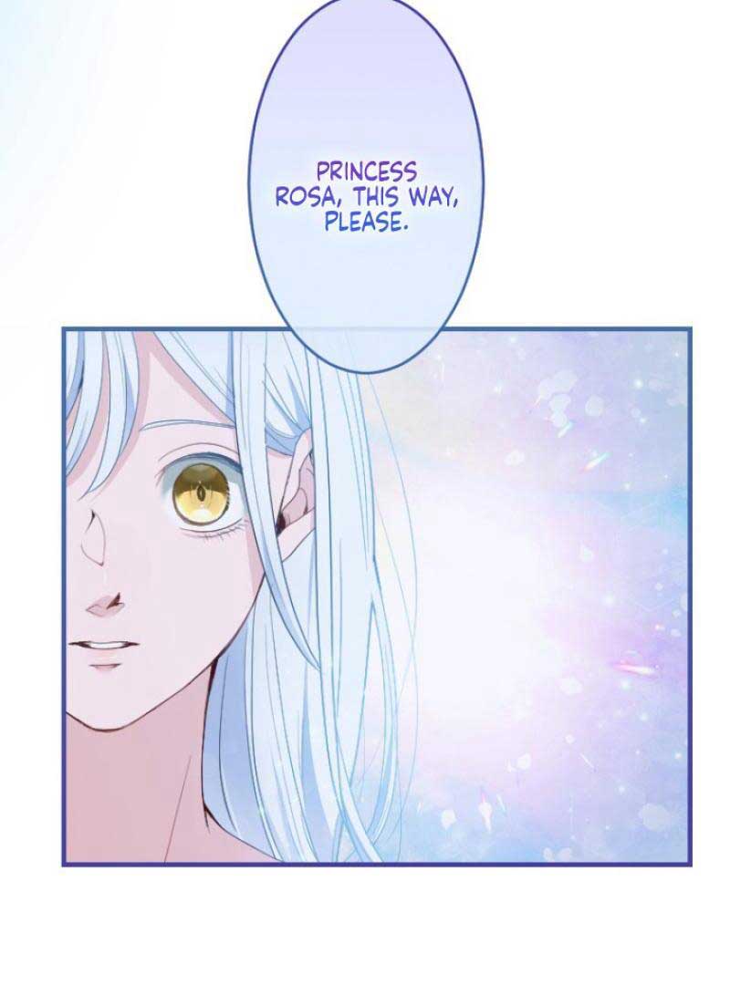 The Reason why Princess White Rose Wears Thorns Chapter 1 412 069