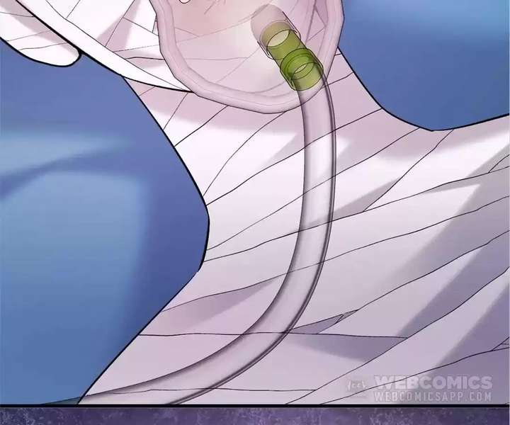 ch 52 27