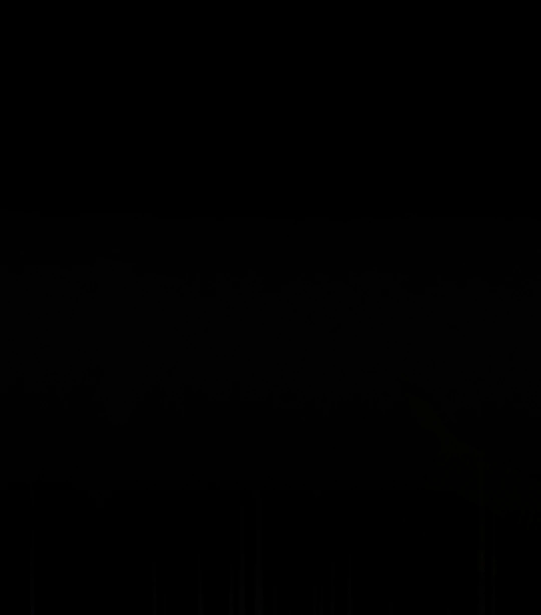 80
