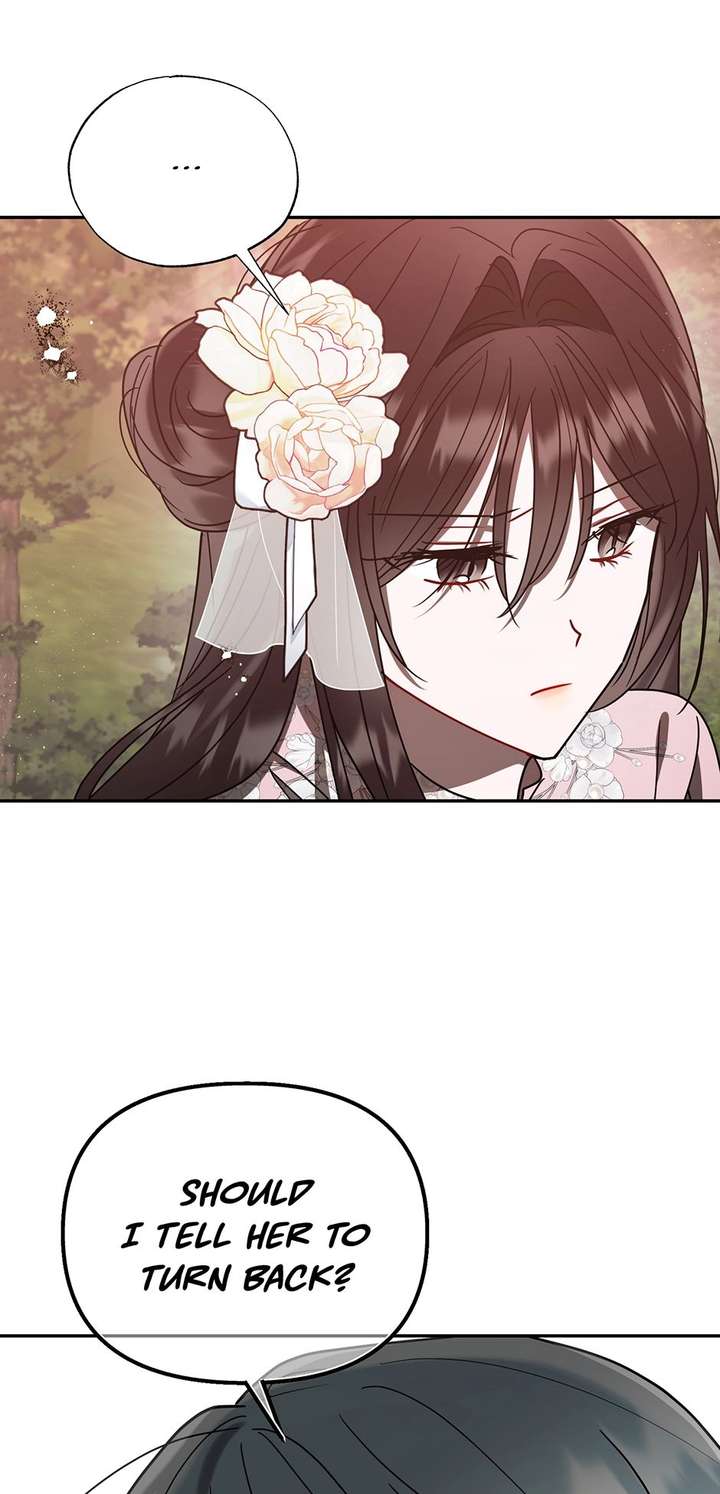 ch 74 29