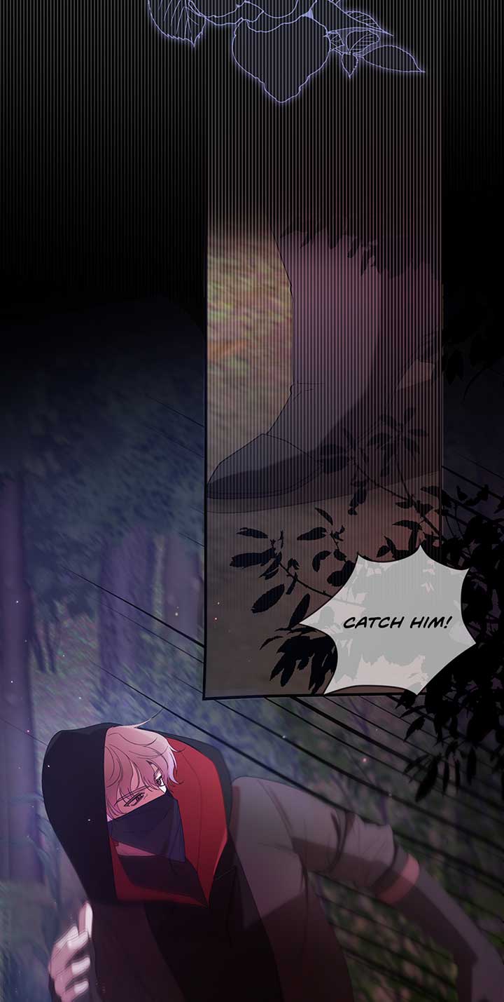 The Wallflower Who Was Proposed to by the Tyrant Chapter 5 282 56