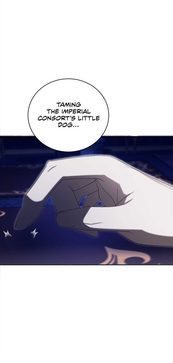 The Wallflower Who Was Proposed to by the Tyrant Chapter 7 331 48