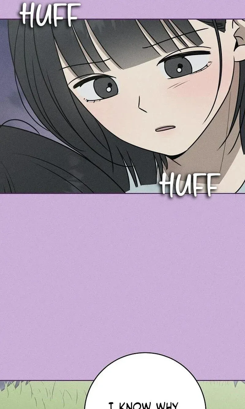 522c7ff49b85