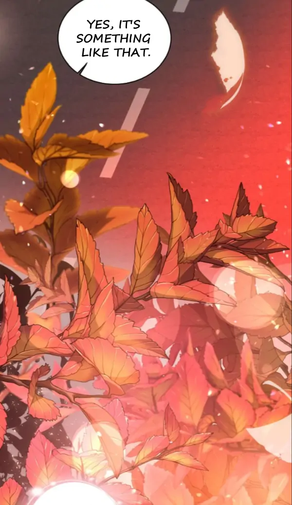 81