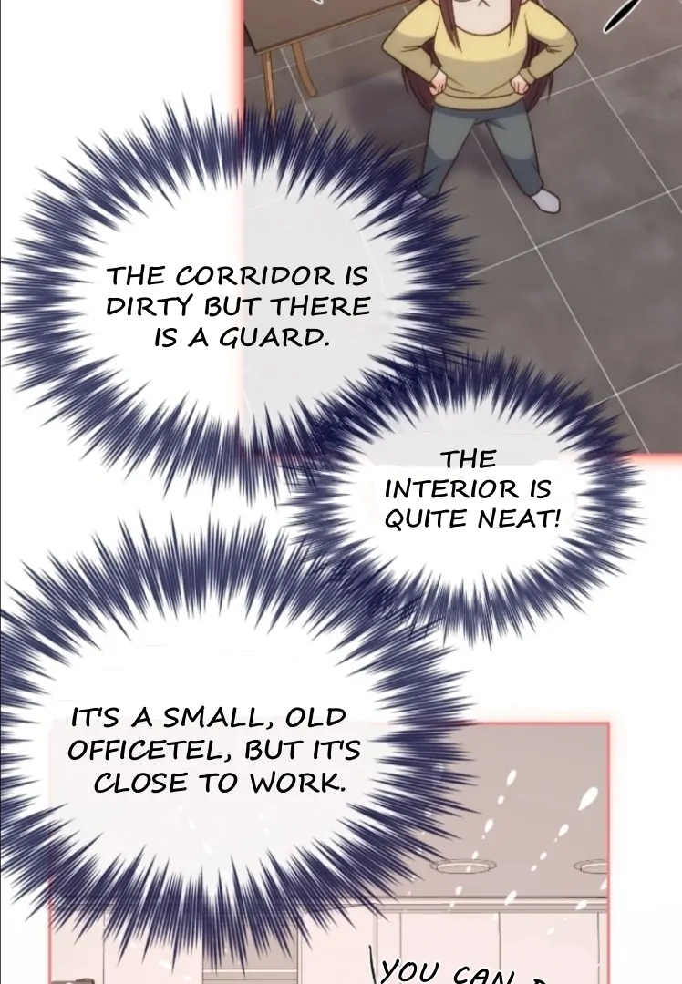 81