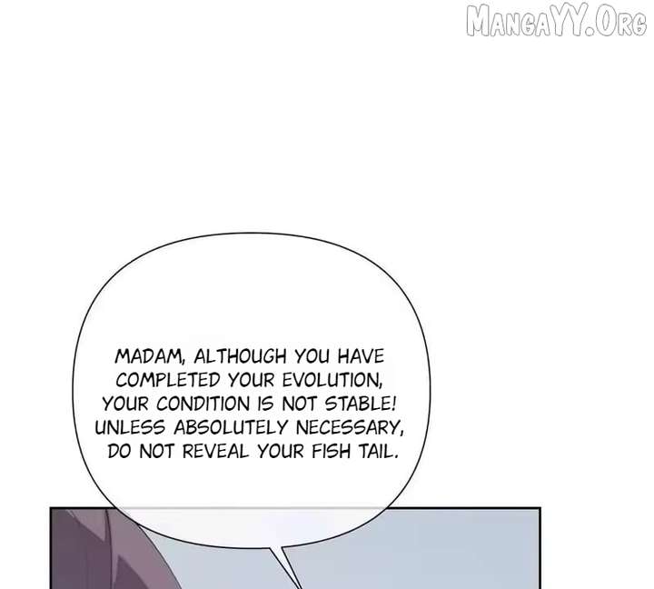 ch 153 41