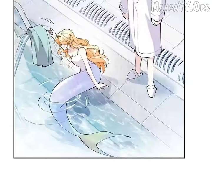 ch 153 5