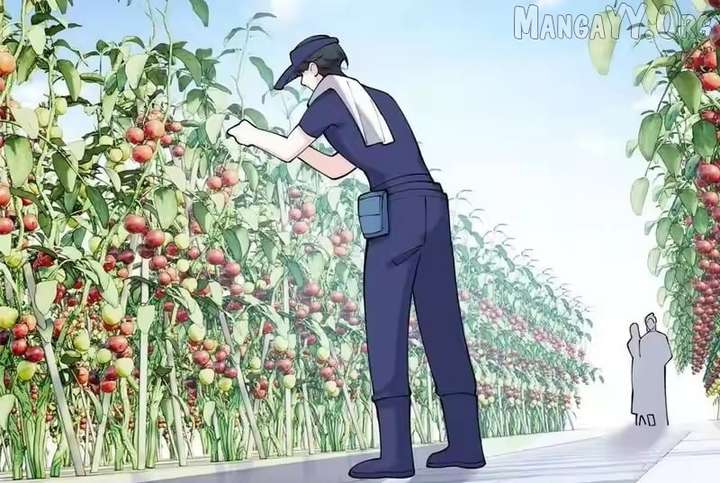 ch 153 70