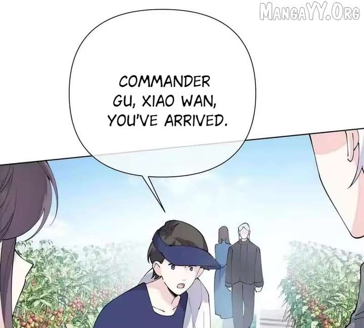 ch 153 75